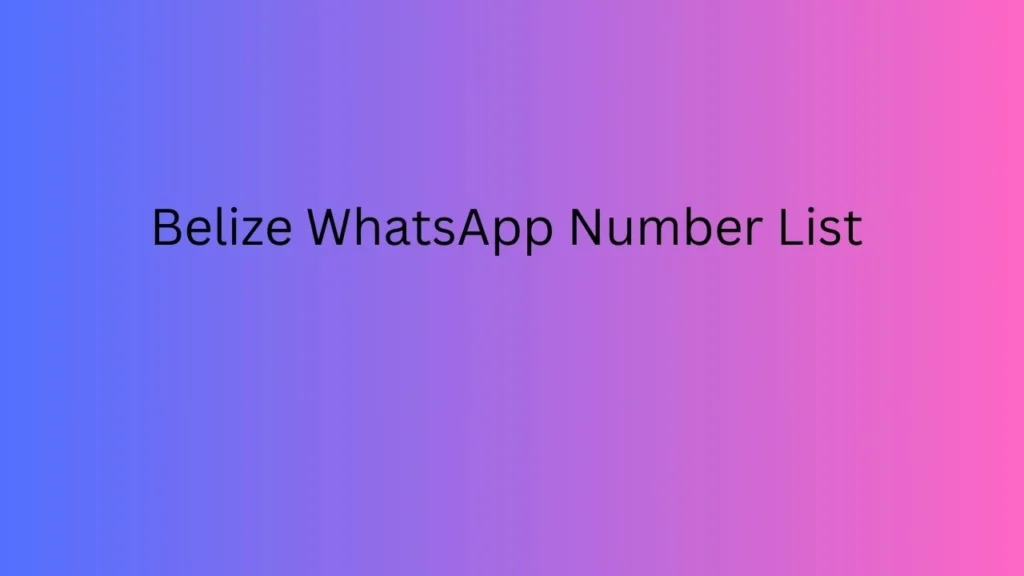 Brazil WhatsApp Number List